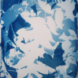 Cyanotype avec Aude Gourichon