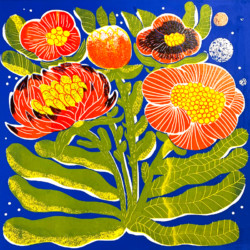Elisa Caroli Elisa Caroli